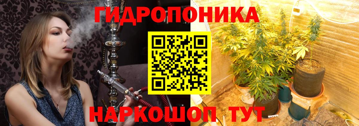 Бошки Шишки тримм  Бошки Шишки планчик  Конопля планчик  Клинцы  Вход с VPN 